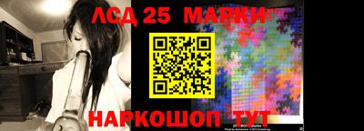 сатива Кингисепп