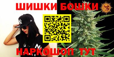 сатива Кингисепп
