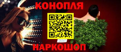 сатива Кингисепп