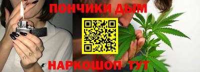 сатива Кингисепп