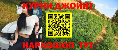 сатива Кингисепп