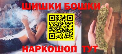 сатива Кингисепп
