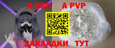 сатива Кингисепп