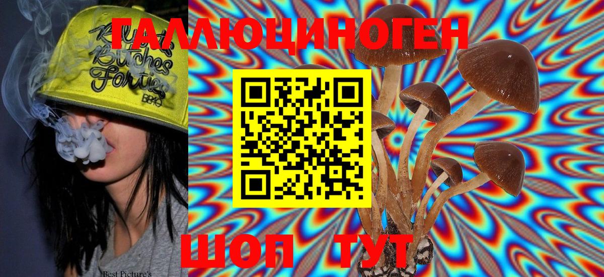 Балашов  Псилоцибиновые грибы ЛСД  Вход с VPN  Галлюциногенные грибы MAGIC MUSHROOMS 